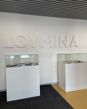 Семинар Loymina