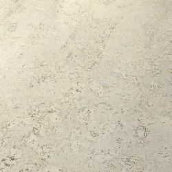 Personality Moonlight