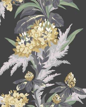 коллекция Aurora от 1838 (Великобритания)