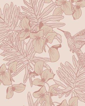 коллекция Aurora от 1838 (Великобритания)