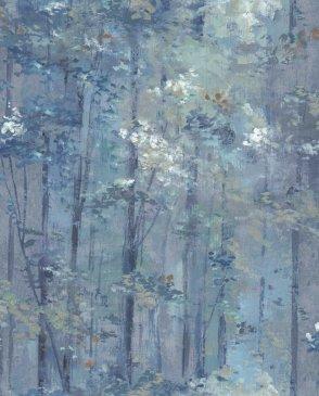 коллекция Aurora от 1838 (Великобритания)