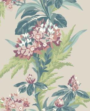 коллекция Aurora от 1838 (Великобритания)