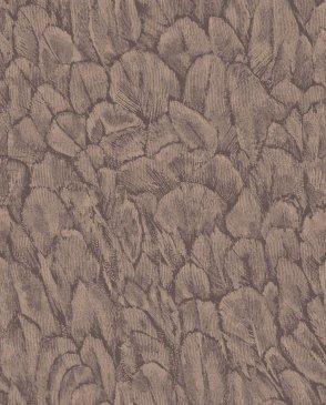 коллекция Aurora от 1838 (Великобритания)