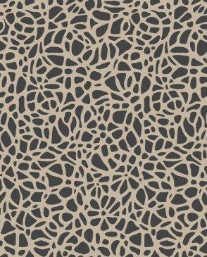 коллекция Aurora от 1838 (Великобритания)