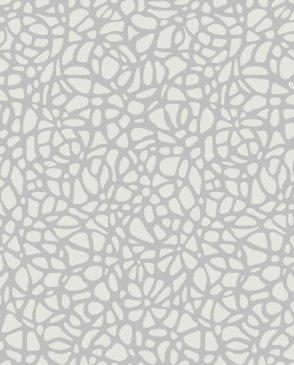 коллекция Aurora от 1838 (Великобритания)