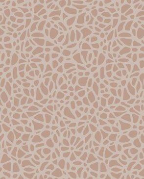 коллекция Aurora от 1838 (Великобритания)