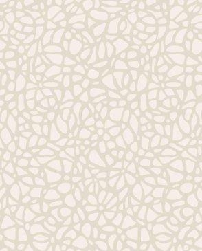 коллекция Aurora от 1838 (Великобритания)