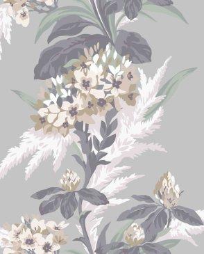 коллекция Aurora от 1838 (Великобритания)