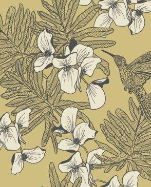 коллекция Aurora от 1838 (Великобритания)