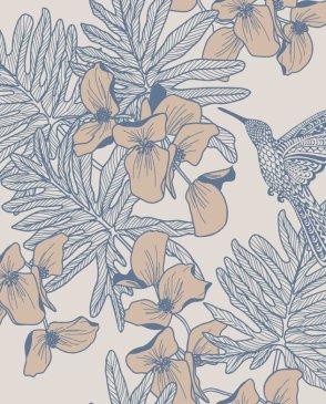 коллекция Aurora от 1838 (Великобритания)