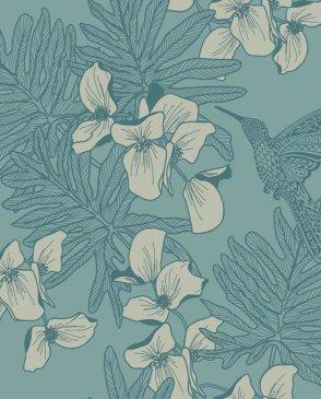 коллекция Aurora от 1838 (Великобритания)