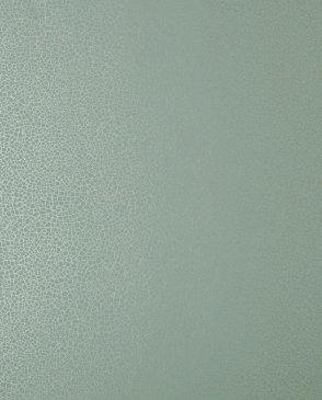 коллекция Elodie от 1838 (Великобритания)