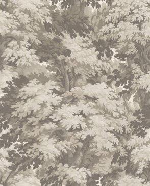 коллекция Barbara от Rasch