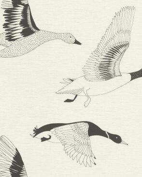 коллекция Most Fabulous от Rasch