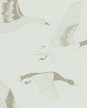 коллекция Most Fabulous от Rasch