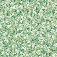 коллекция Barbana