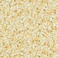 коллекция Barbana