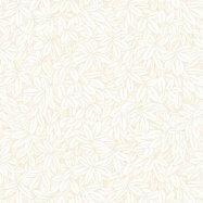 коллекция Barbana