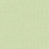 коллекция Barbana