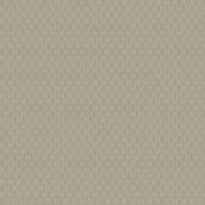 коллекция Barbana