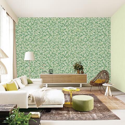 коллекция Barbana