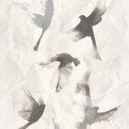 коллекция Free Nature