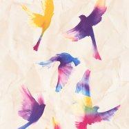 коллекция Free Nature
