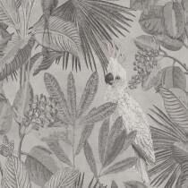 коллекция Panthera