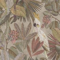 коллекция Panthera