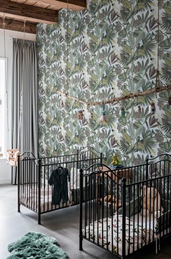 коллекция Panthera