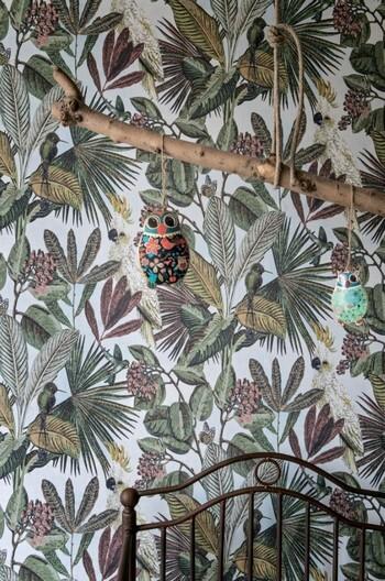 коллекция Panthera