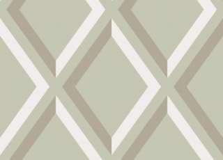 Обои Cole & Son New Contemporary 66-3021