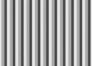 Обои Cole & Son Vivienne Westwood 6022