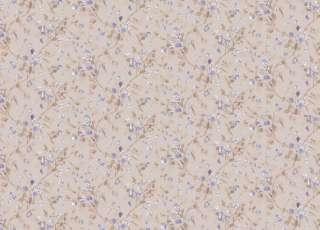 Обои Cole & Son Collection of Flowers 81-11049