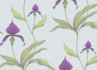 Обои Cole & Son New Contemporary 66-4027