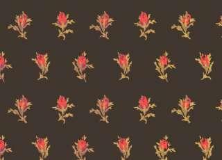Обои Cole & Son Collection of Flowers 81-4016