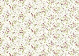 Обои Cole & Son Collection of Flowers 81-11048