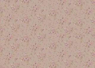 Обои Cole & Son Collection of Flowers 81-11045