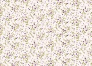 Обои Cole & Son Collection of Flowers 81-11047