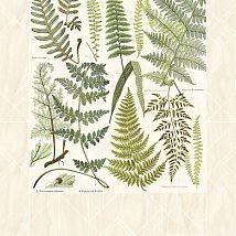 коллекция Geonature от Eijffinger