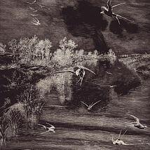 коллекция Geonature от Eijffinger