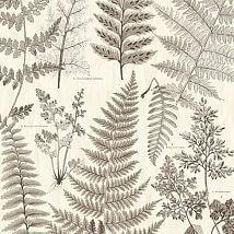 коллекция Geonature от Eijffinger