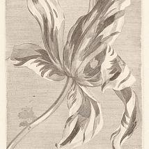 коллекция Masterpiece от Eijffinger